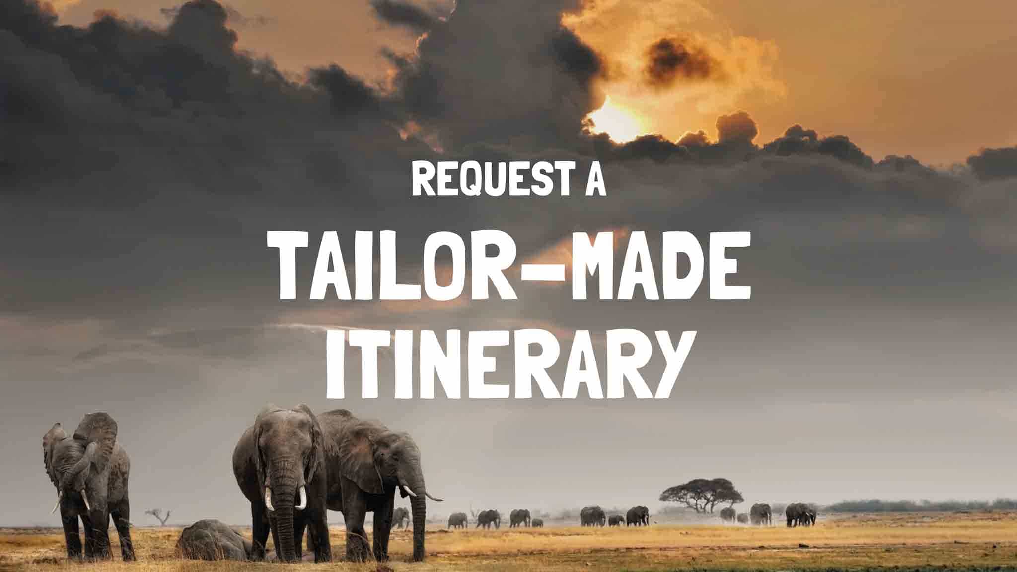 Tailor-Made Safari Tanzania