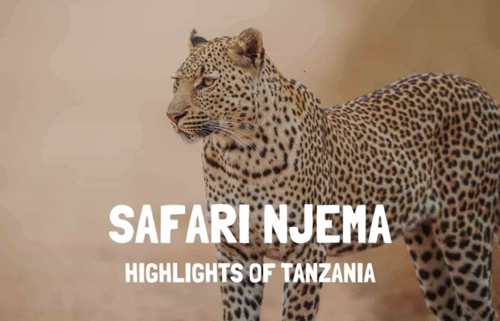 Safari Njema Tanzania - Highlights of Tanzania