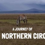 northern circuit safari tanzania