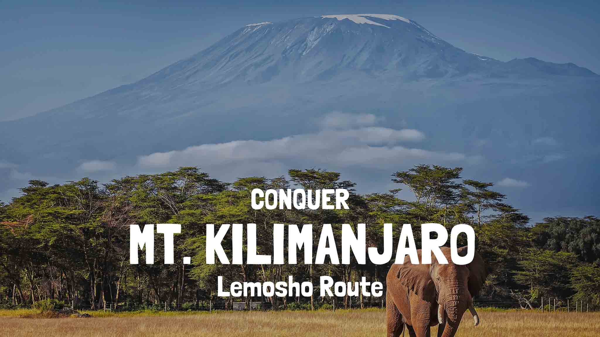 Climbing Kilimanjaro Lemosho Route