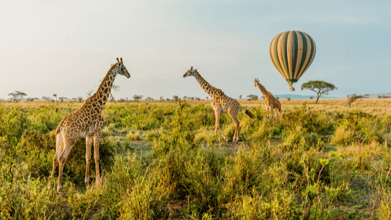 Balloon Safari Serengeti