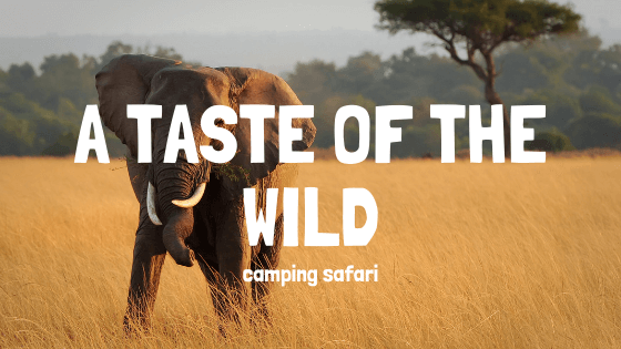 camping safari tanzania budget