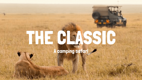 camping safari tanzania budget