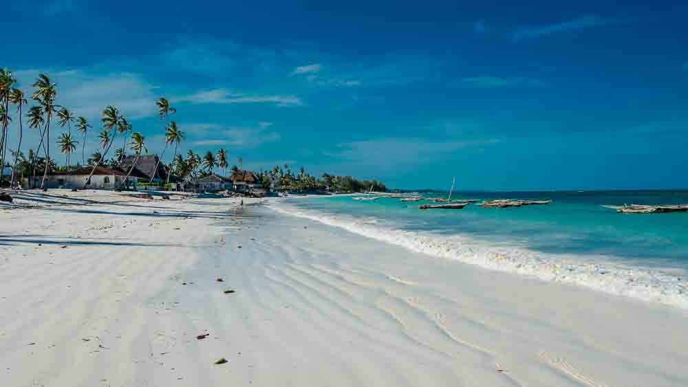 Honeymoon safari tanzania zanzibar