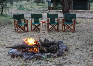 domel wilderness camp, serengeti tanzania