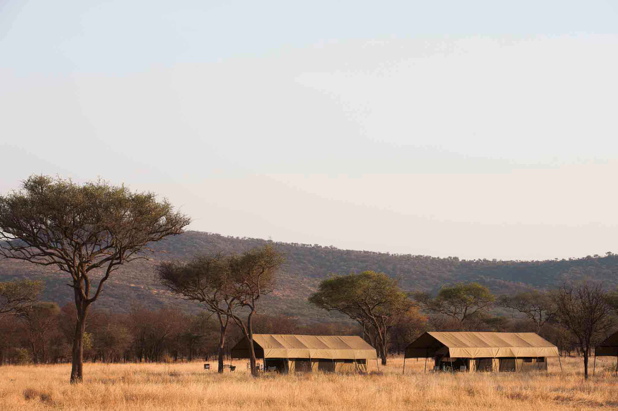 kati kati tented camp, serengeti, tanzania