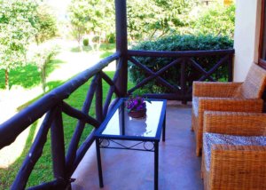 Olea africana karatu lodge, Tanzania