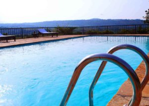 Olea africana karatu lodge, Tanzania