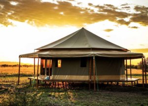 sound of silence, serengeti, tanzania