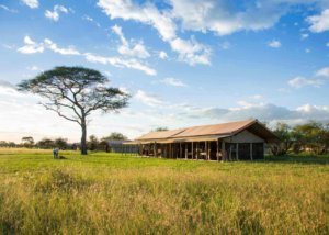 thorn tree camp, serengeti, tanzania