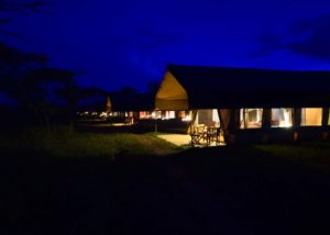 tingitana tented camp, serengeti, tanzania