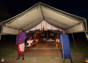 tingitana tented camp, serengeti, tanzania