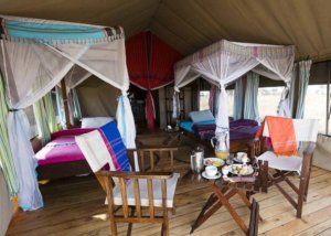 tingitana tented camp, serengeti, tanzania