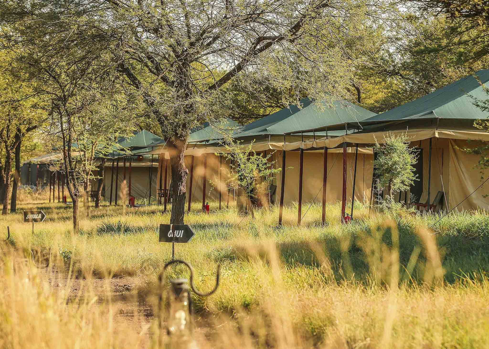 Tukaone Camp Serengeti