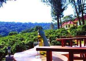 Hhando Coffee Lodge Karatu