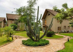 Weru Weru River Lodge