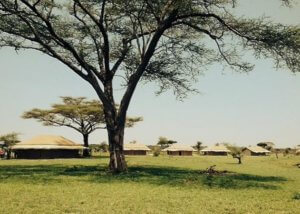 Mbugani Tented Lodge Serengeti