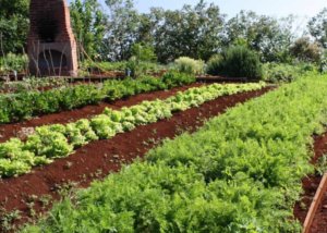 Rhotia Valley Karatu Tanzania