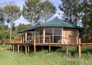 Foresight Eco Lodge Family Tent - Outside
