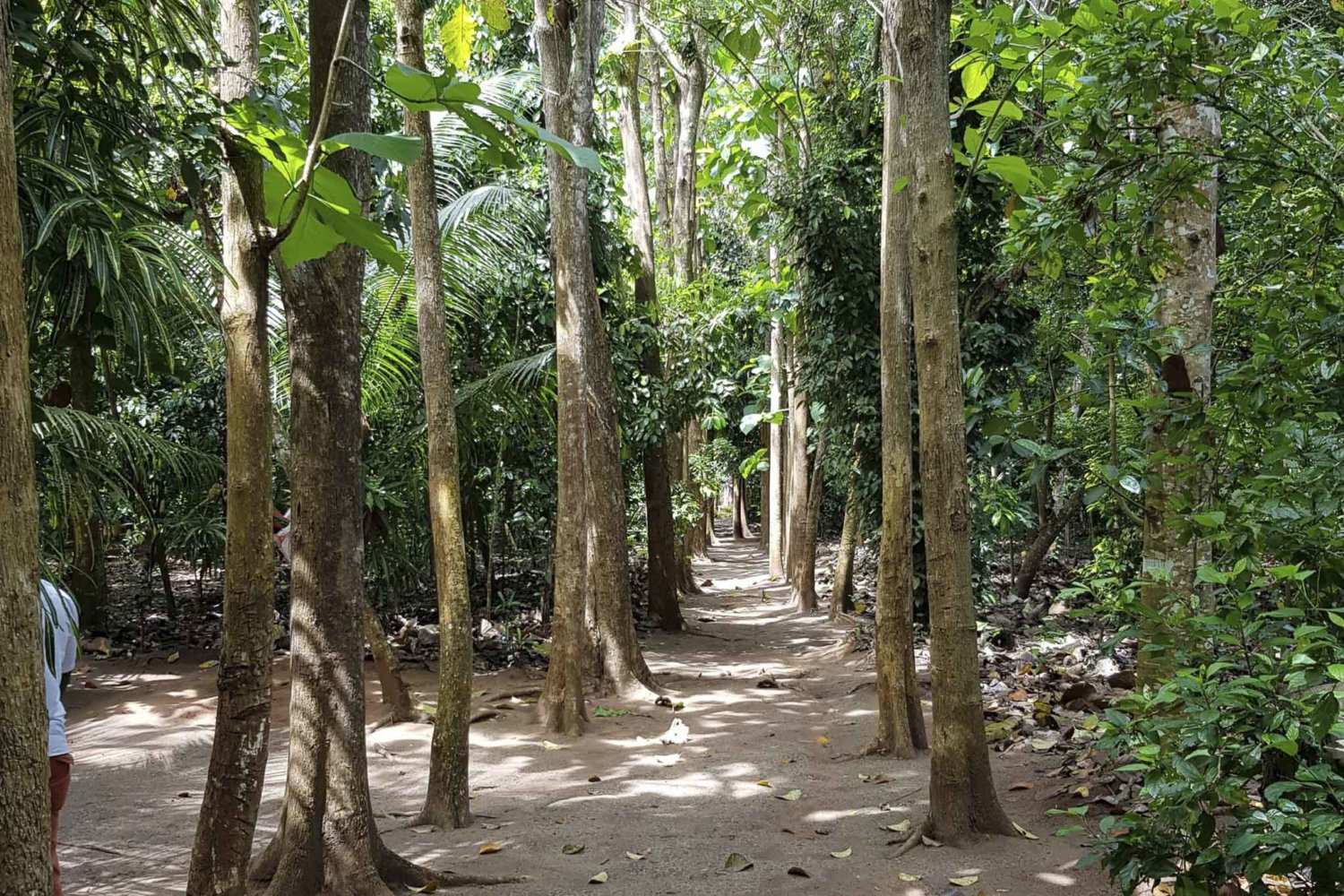 Zanzibar Spice Tour, Stone Town