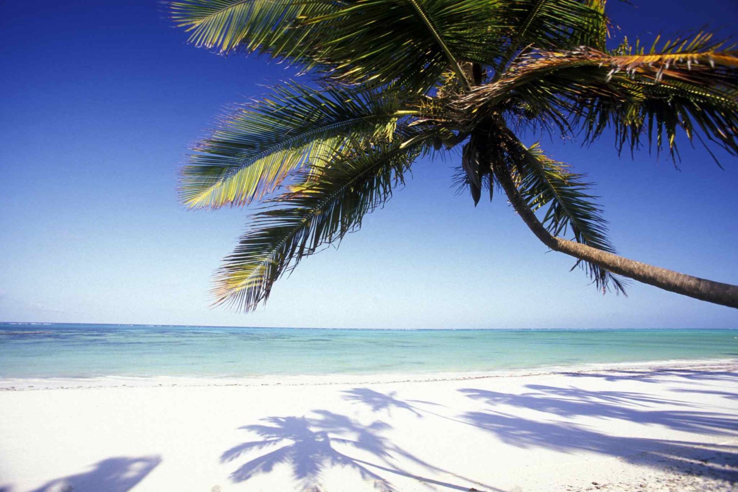 Pungume Island Tour, Zanzibar