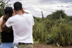 honeymoon safari Tanzania zanzibar