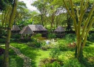 Tumbili Lodge, Arusha, Tanzania