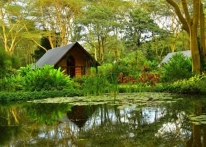 Tumbili Lodge, Arusha, Tanzania