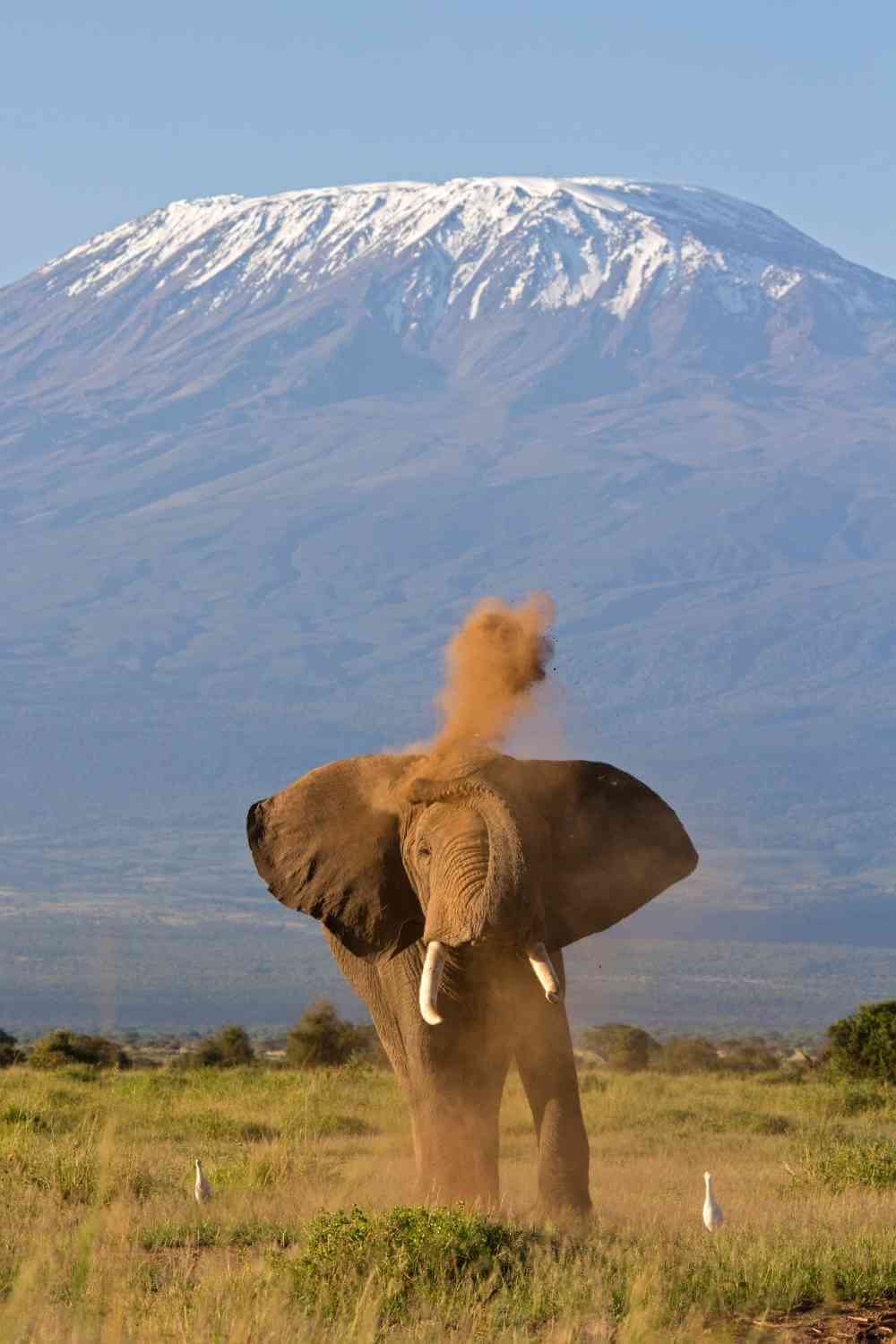 Kilimanjaro Marangu Route