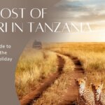 The cost of Safari in Tanzania