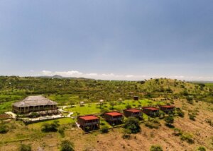 Africa Safari Karatu, Tanzania