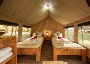 Africa Safari Karatu, Tanzania