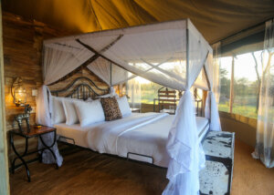 Sound of nature, Serengeti, Tanzania