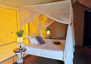 Ngorongoro Wild Camp, Tanzania