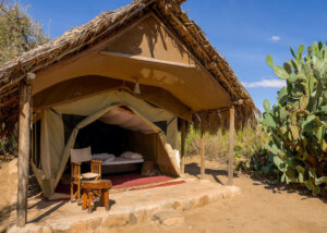 Tingida Tented Lodge, Lake Eyasi, Tanzania