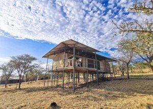 Ngorongoro Wild Camp, Tanzania