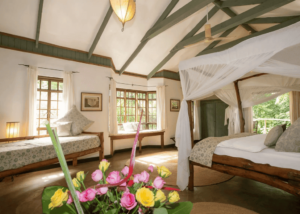 Rivertrees Country Inn, Arusha, Tanzania