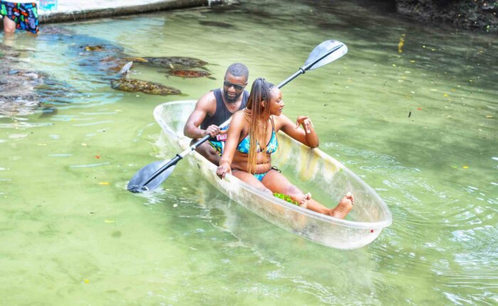 Nungwi Turtle Experience, Zanzibar, Tanzania