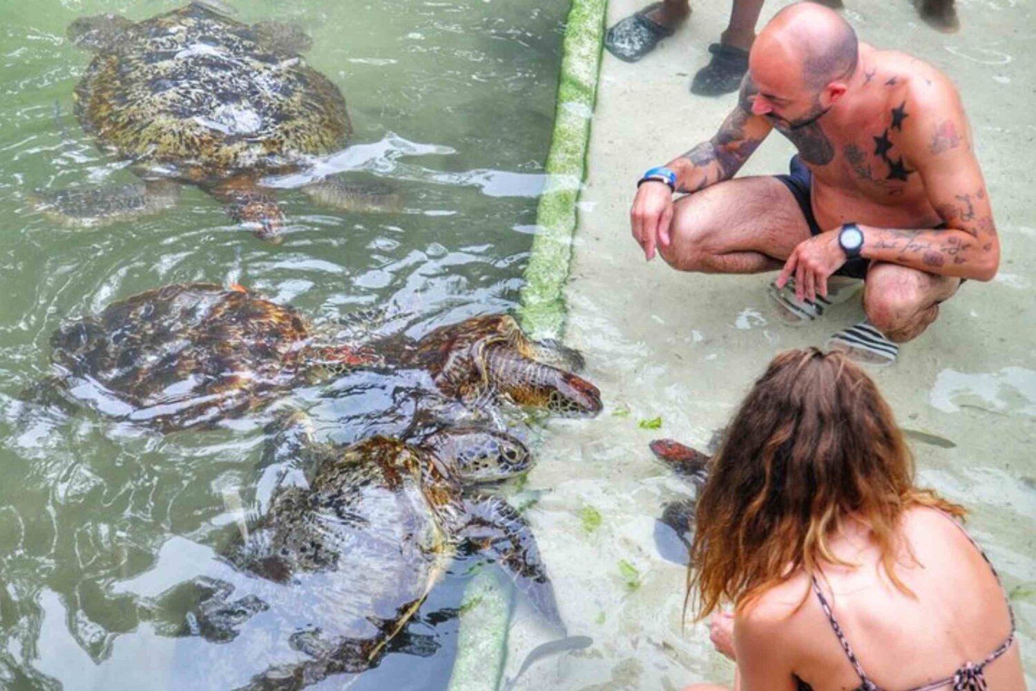 Nungwi Turtle Experience, Zanzibar, Tanzania