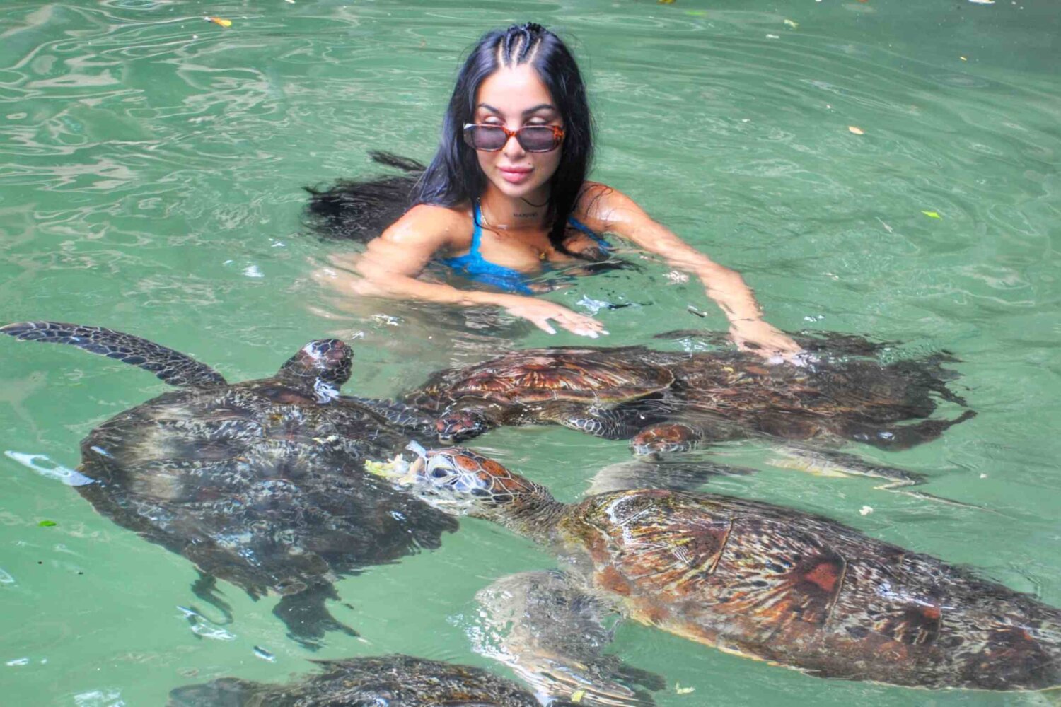 Nungwi Turtle Experience, Zanzibar, Tanzania
