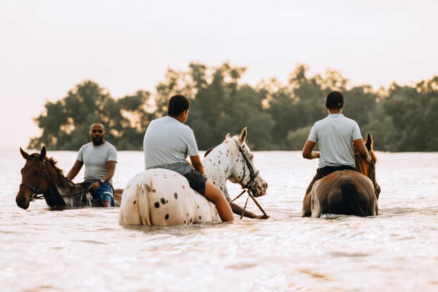 Swimming with Horses Zanzibar, Tanzania