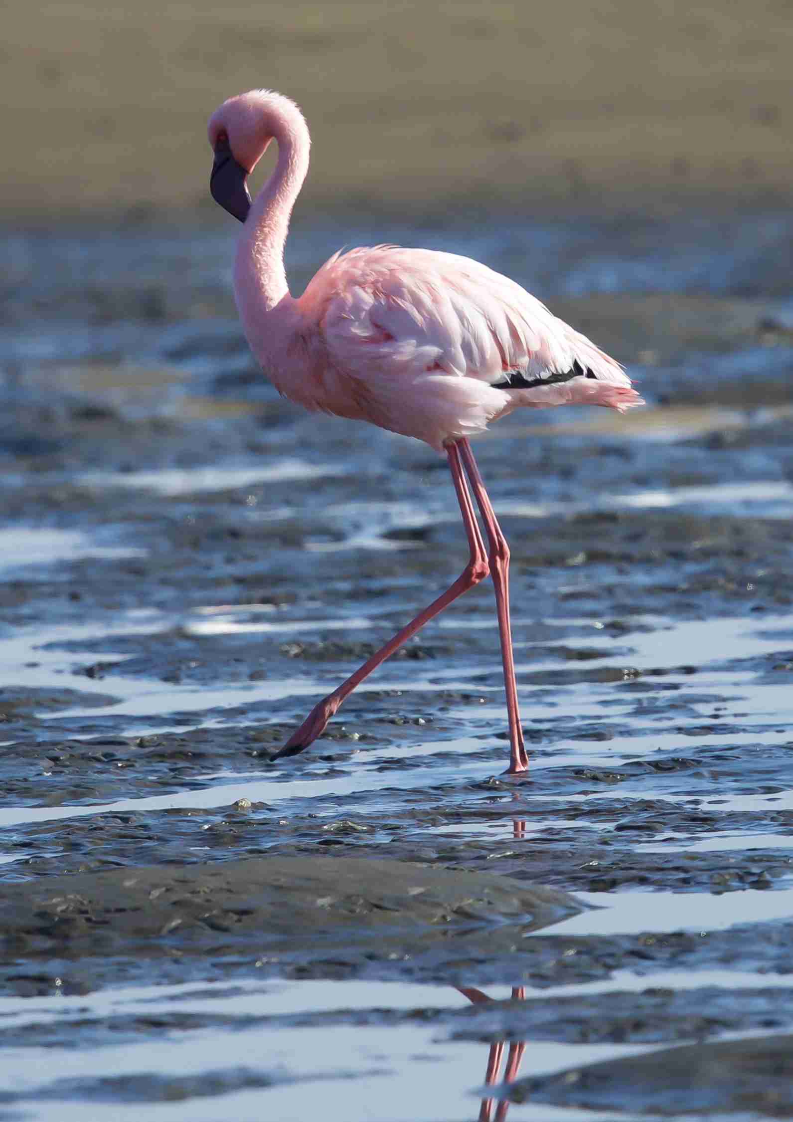 Tanzania in July