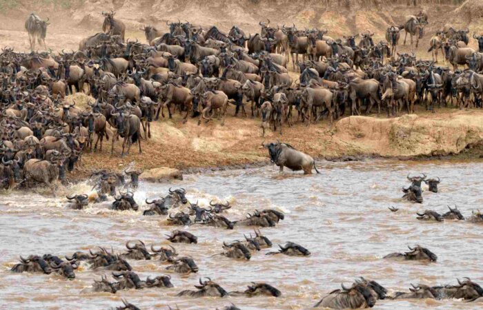 Tanzania in July
