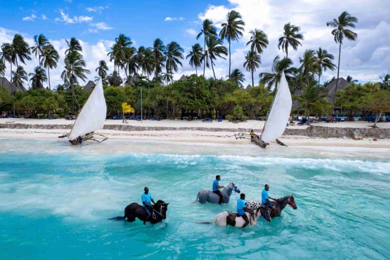 Swimming with Horses Zanzibar, Tanzania