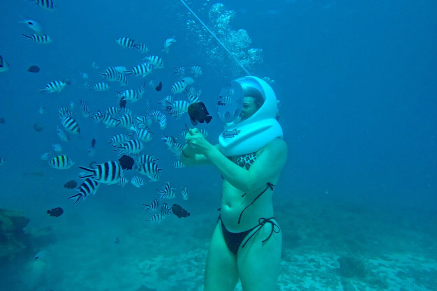 Sea Walk Zanzibar, Tanzania