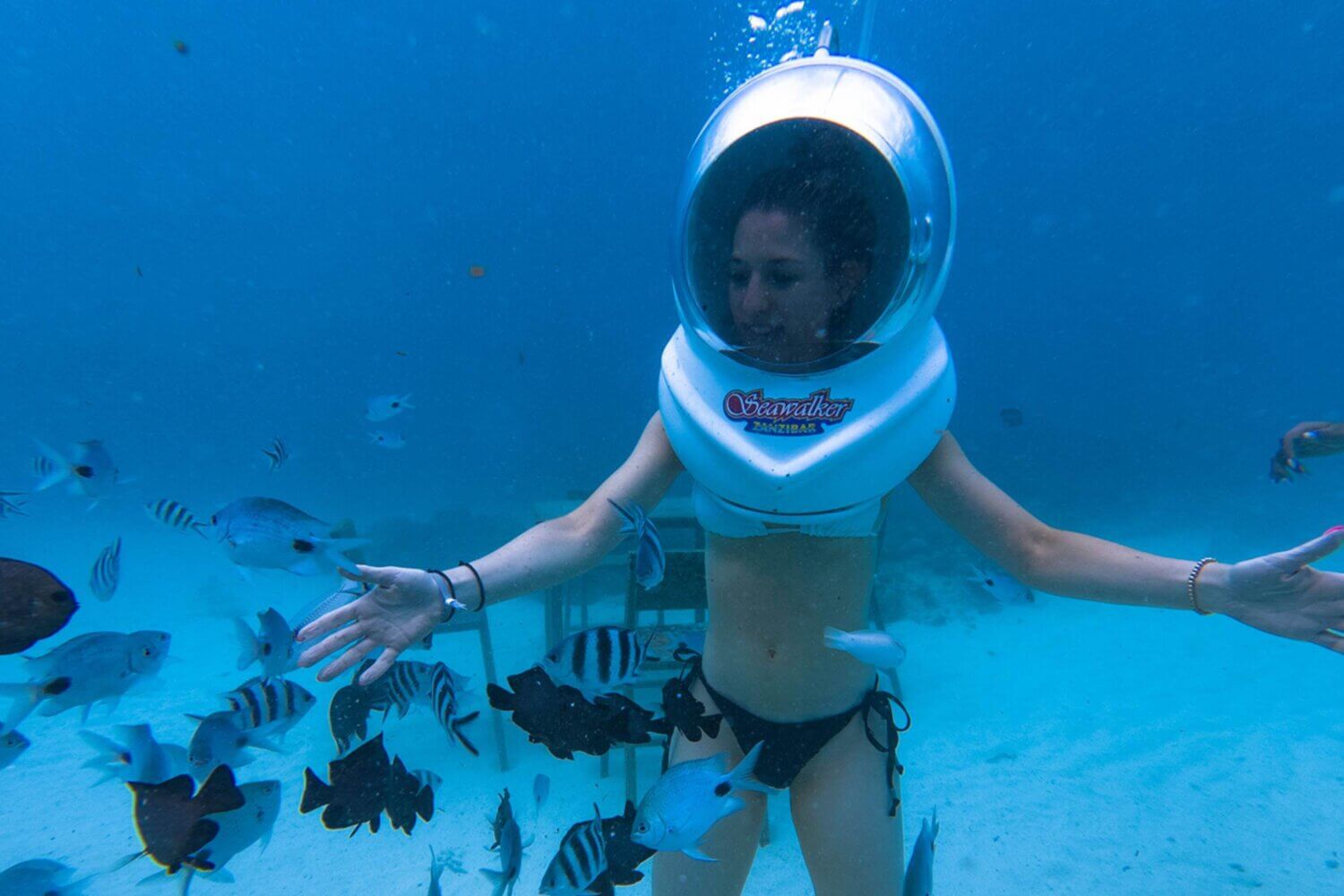 Sea Walk Zanzibar, Tanzania