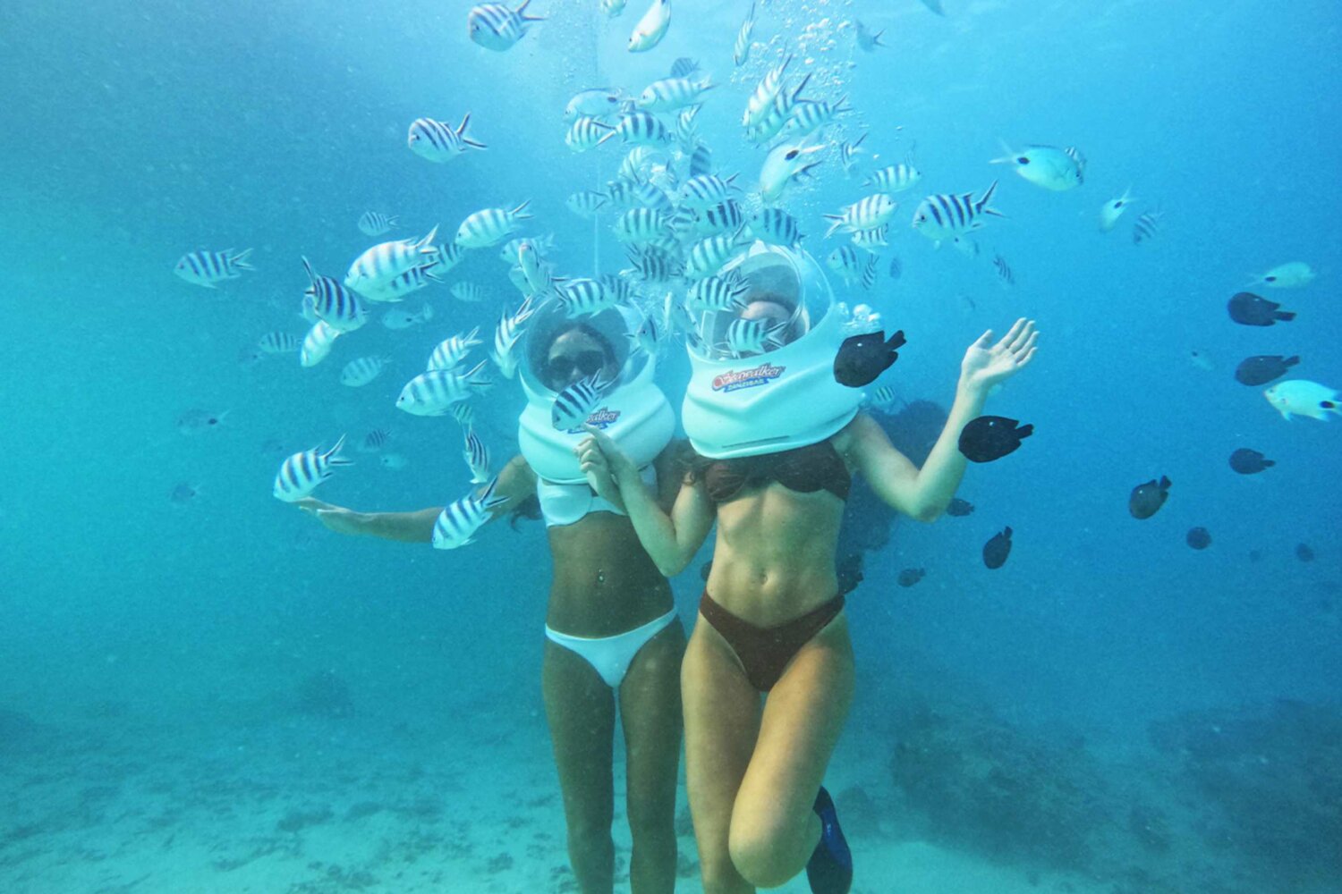 Sea Walk Zanzibar, Tanzania