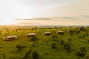 View of tents Salinero Serengeti Lodge