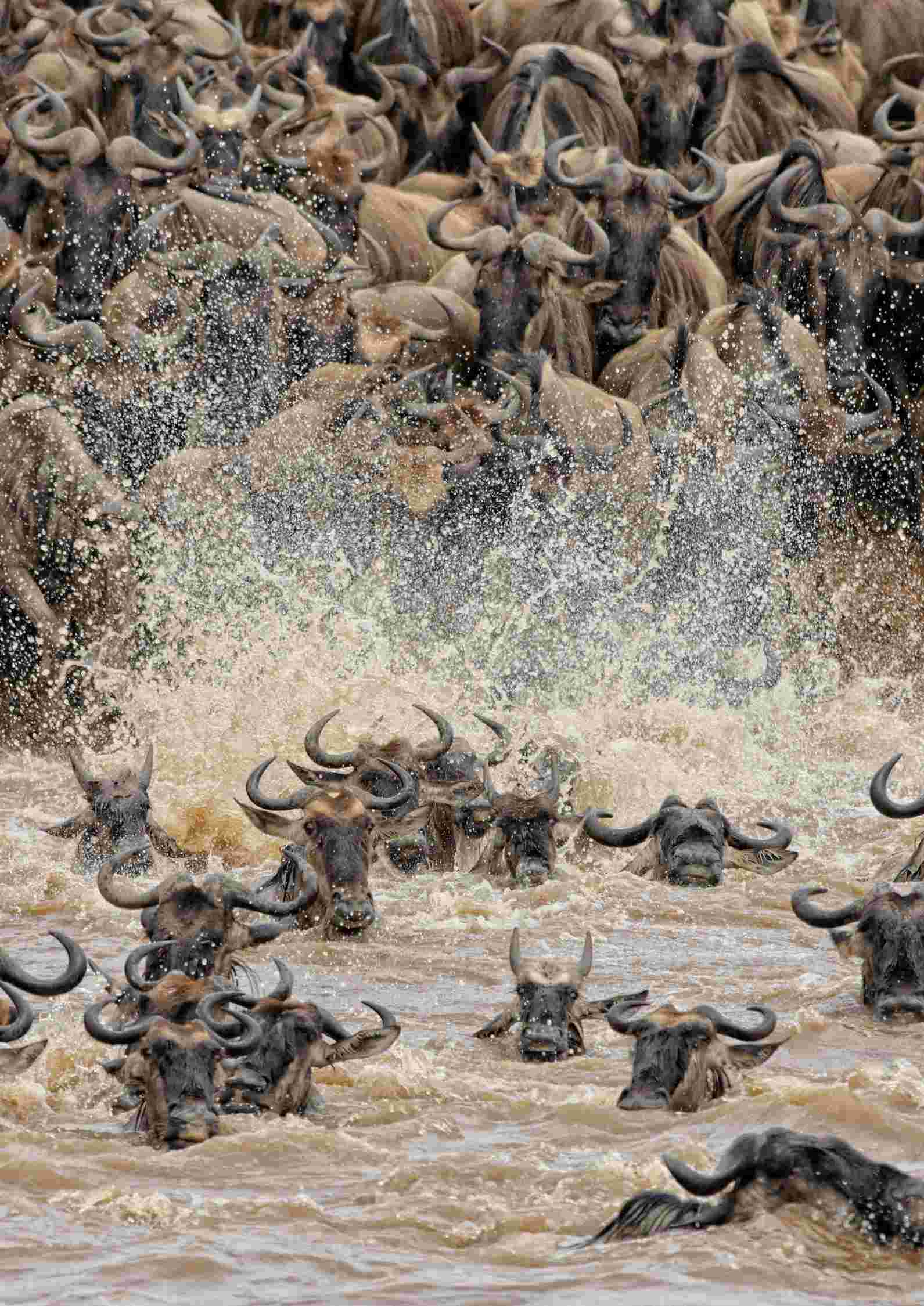 Tanzania in August